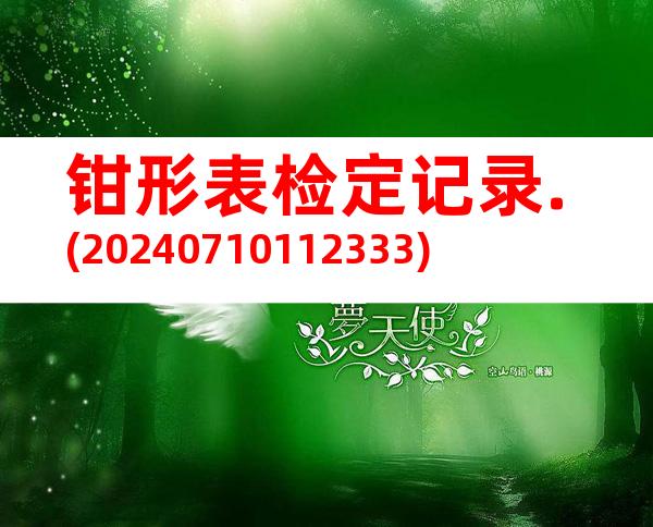 钳形表检定记录.(20240710112333)