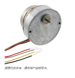 Portescap 42M-R系列 42M048C2B-R21产品规格书